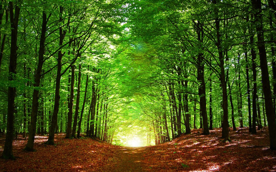 Nu växlar vi upp: strul.info rullar in i Skåne och Blekinge!